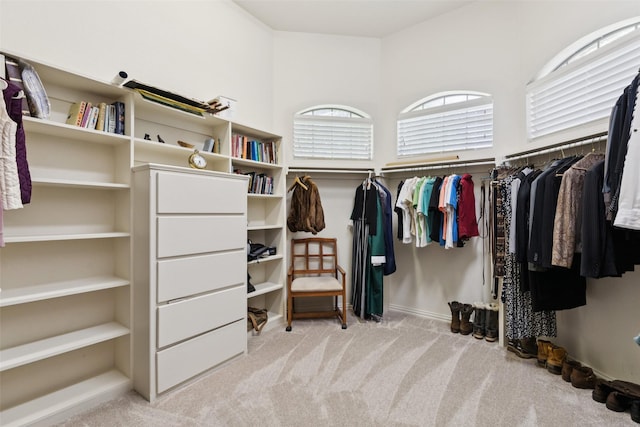 3030 Pecan Grove Ln, Celina, TX 75078 - walk in closet with carpet floors