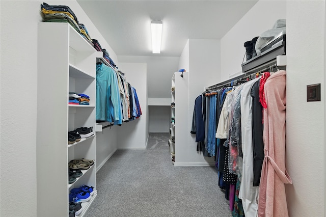 5413 Percy Priest St, Fort Worth, TX 76179 - walk in closet featuring carpet flooring