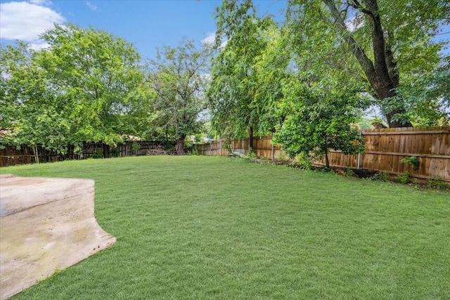 4132 Alava Dr, Fort Worth, TX 76133 - view of fenced backyard