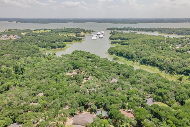 2057 Breezywood Dr, Flower Mound, TX 75022 - bird's eye view of a large body of water
