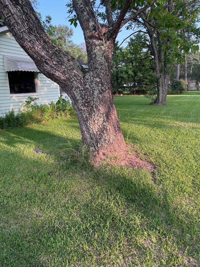 1330 Palmetto Rd, Benton, LA 71006 - view of green lawn