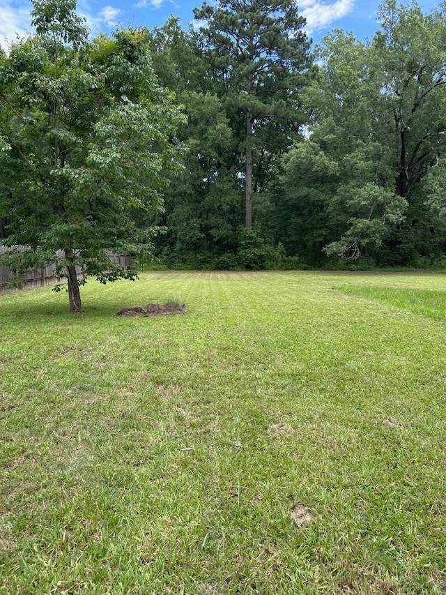 1330 Palmetto Rd, Benton, LA 71006 - view of grassy yard