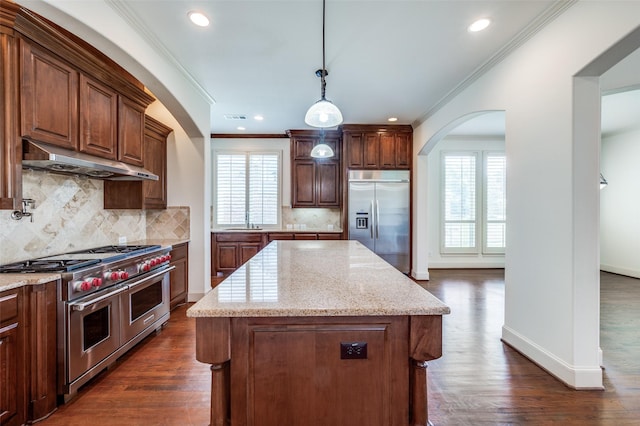 8540 Canyon Xing, Lantana, TX 76226 - kitchen featuring high end appliances, under cabinet range hood, arched walkways, crown molding, and plenty of natural light