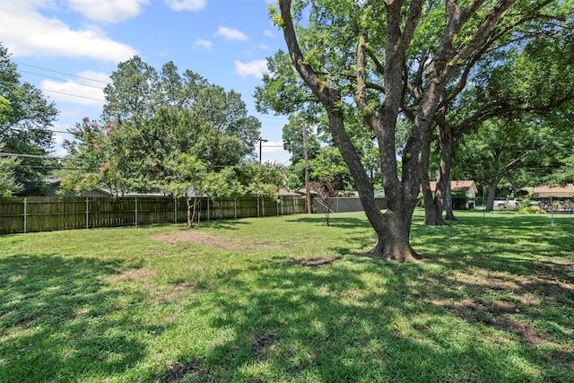 7005 Culver Ave, Fort Worth, TX 76116 - view of fenced backyard