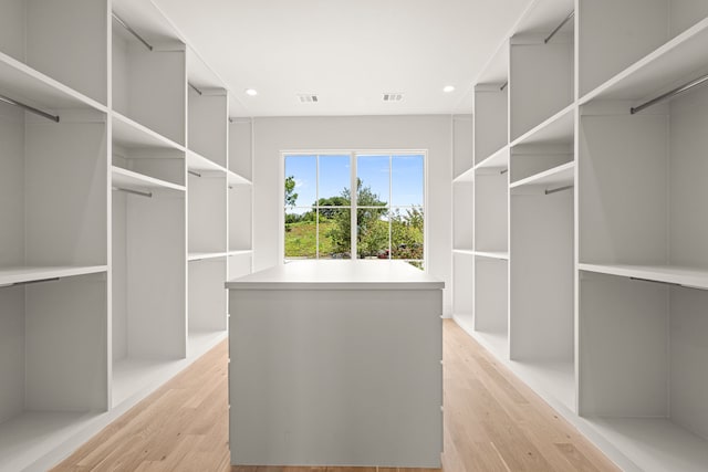 4532 Terroir Dr, Fort Worth, TX 76126 - spacious closet featuring light wood finished floors