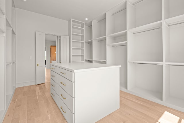 4532 Terroir Dr, Fort Worth, TX 76126 - spacious closet with light wood-style flooring