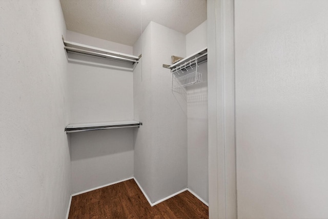 3302 Janwood Ln, Garland, TX 75044 - walk in closet with wood finished floors