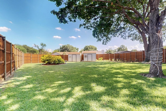 3302 Janwood Ln, Garland, TX 75044 - fenced backyard featuring a storage unit