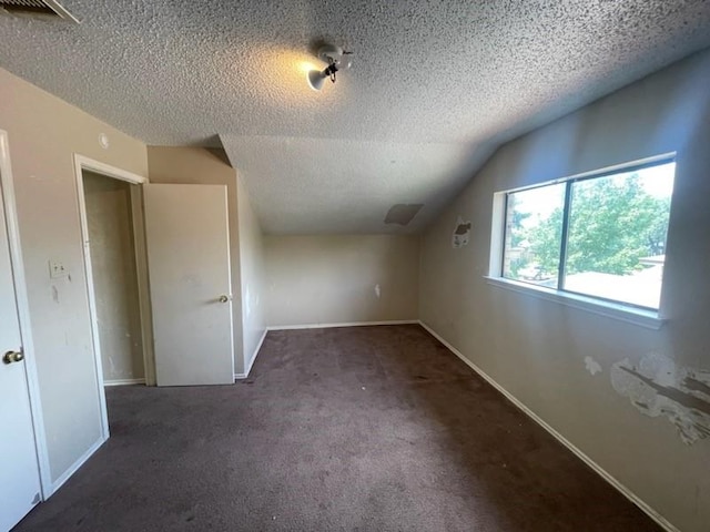 11805 Eloise Dr, Balch Springs, TX 75180 - additional living space featuring a textured ceiling, carpet flooring, and lofted ceiling