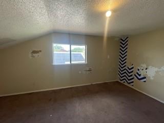 11805 Eloise Dr, Balch Springs, TX 75180 - bonus room featuring a textured ceiling, carpet, and vaulted ceiling
