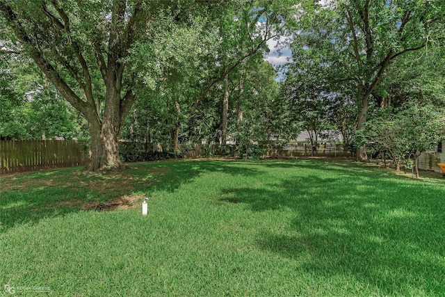 171 Albert Ave, Shreveport, LA 71105 - view of fenced backyard