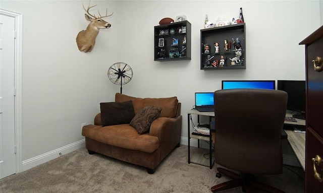 219 Spruce Valley Dr, Justin, TX 76247 - carpeted office featuring baseboards