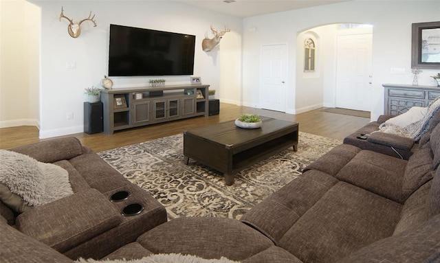 219 Spruce Valley Dr, Justin, TX 76247 - living room featuring arched walkways and wood finished floors