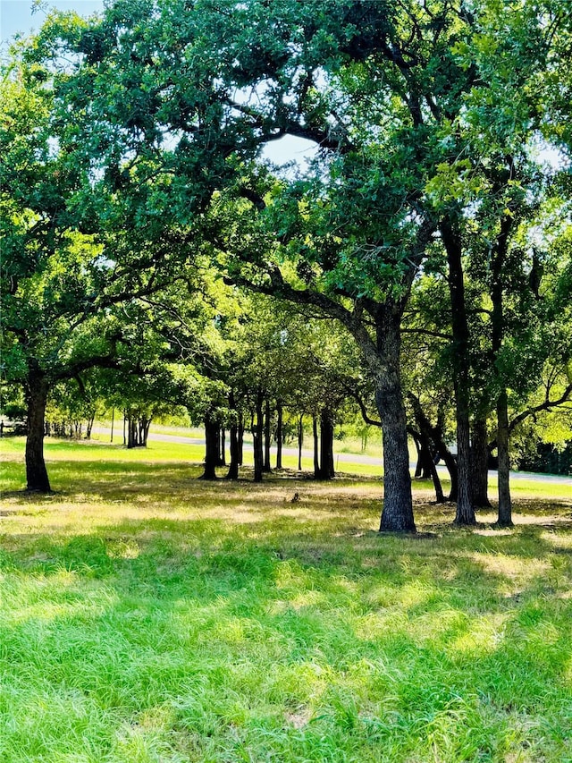 14004 Sandy Oaks Dr, Whitney, TX 76692