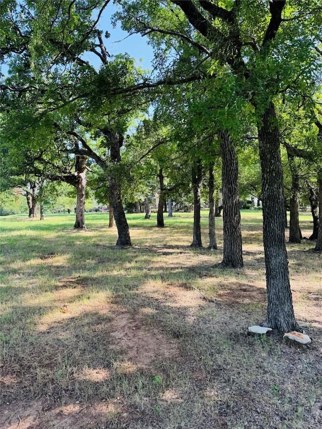 14004 Sandy Oaks Dr, Whitney, TX 76692