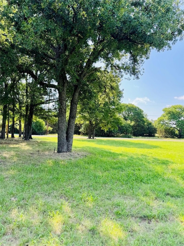 14004 Sandy Oaks Dr, Whitney, TX 76692