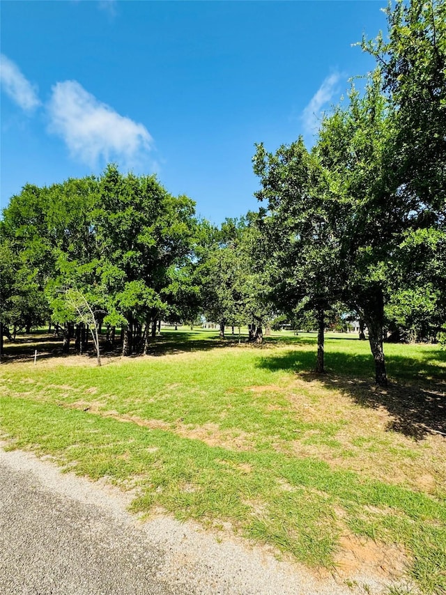 14004 Sandy Oaks Dr, Whitney, TX 76692