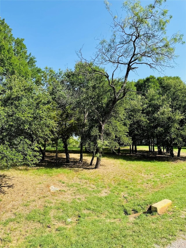 14004 Sandy Oaks Dr, Whitney, TX 76692