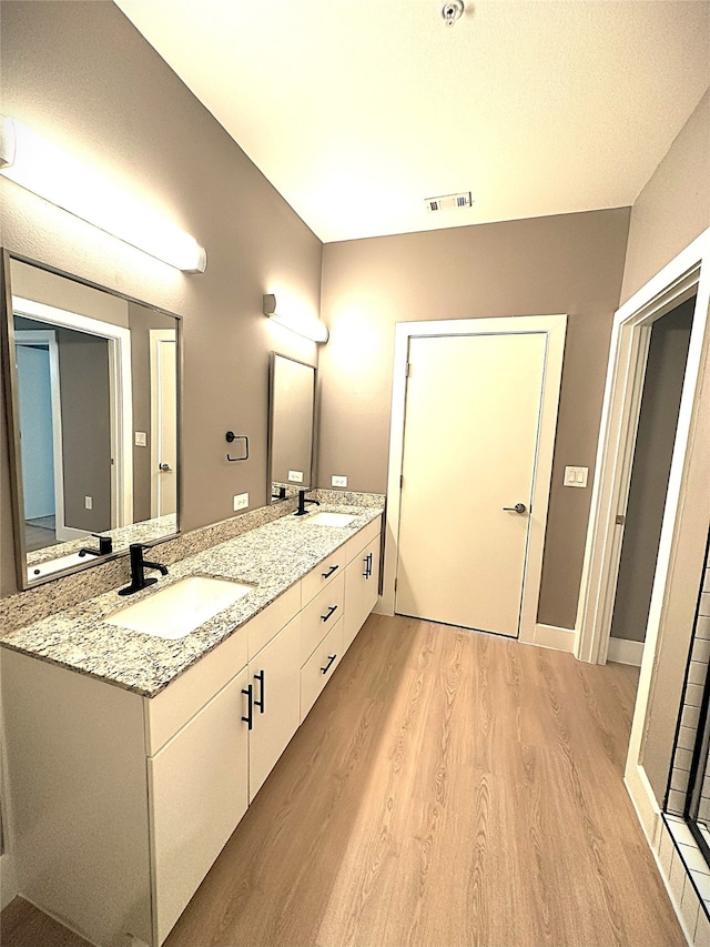 3517 Windhaven Pkwy Unit 1209, Lewisville, TX 75056 - full bathroom featuring wood finished floors and double vanity