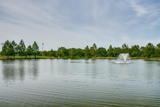 8600 Digby Dr, Plano, TX 75025 - water view