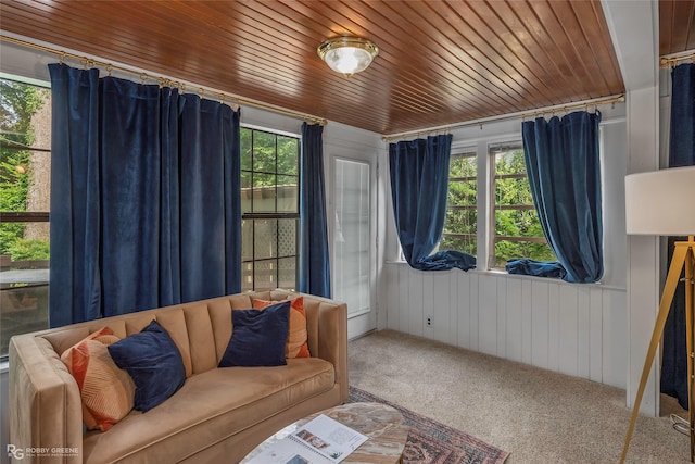 3933 Baltimore Ave, Shreveport, LA 71106 - living area with carpet flooring, wooden ceiling, and wood walls