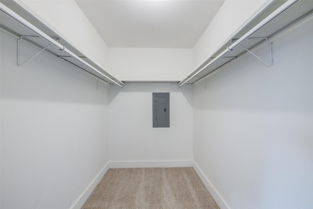 3525 S Elm Dr, Grand Prairie, TX 75052 - walk in closet with electric panel and carpet floors