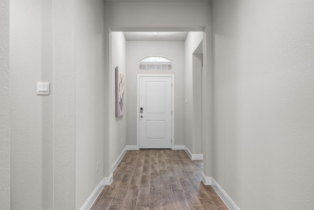 171 Tanager Dr, Rhome, TX 76078 - entryway with wood finished floors and baseboards