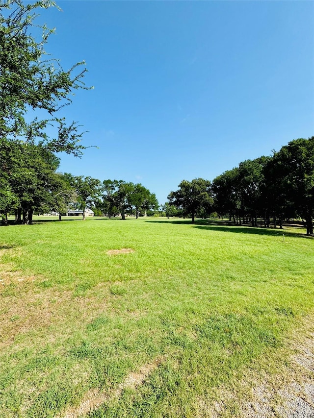 14006 Sandy Oaks Dr, Whitney, TX 76692