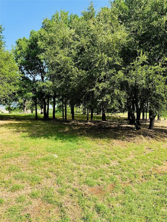 14006 Sandy Oaks Dr, Whitney, TX 76692