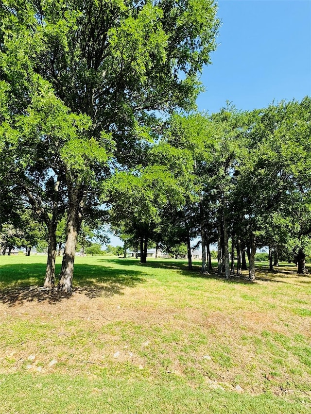 14006 Sandy Oaks Dr, Whitney, TX 76692