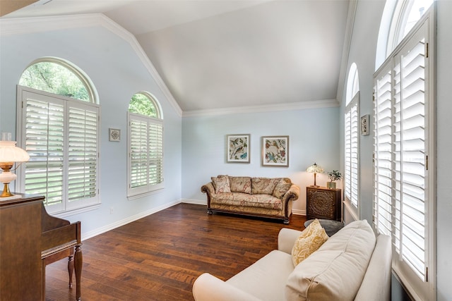6328 Birchmont Dr, Plano, TX 75093 - living room with wood finished floors and high vaulted ceiling