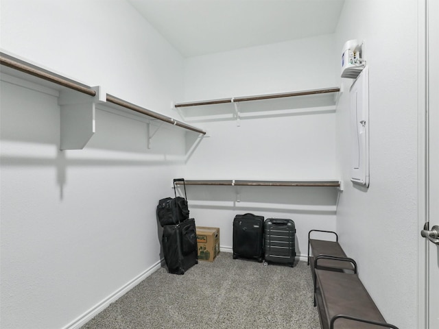 2800 Cain Dr, Anna, TX 75409 - walk in closet with carpet floors