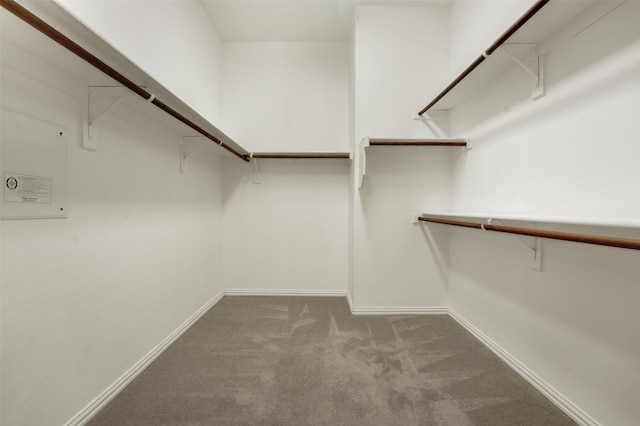 1910 Saint Johns Ave, Allen, TX 75002 - spacious closet featuring carpet floors