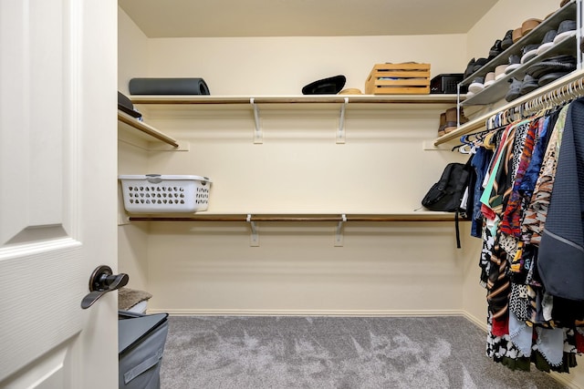 7219 Brisa Rd, Grand Prairie, TX 75054 - spacious closet with carpet floors