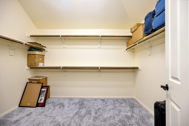 7219 Brisa Rd, Grand Prairie, TX 75054 - walk in closet with carpet floors