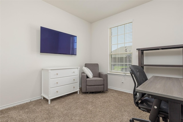 2265 Obsidian Dr, Little Elm, TX 76227 - office space with carpet floors