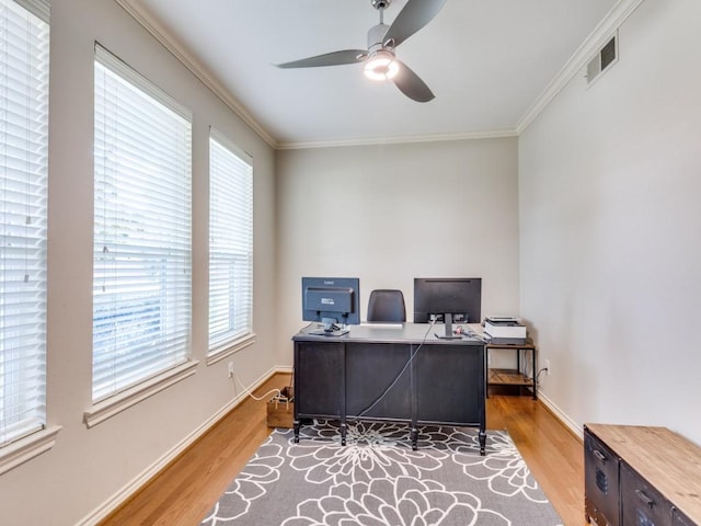 6505 Tamarron Ln, Plano, TX 75024 - home office featuring wood finished floors, ceiling fan, crown molding, and plenty of natural light