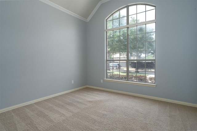 4748 Mcbreyer Pl, Fort Worth, TX 76244 - spare room featuring lofted ceiling, healthy amount of natural light, crown molding, and carpet floors