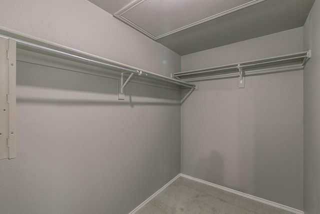 1102 David Dr, Euless, TX 76040 - spacious closet with attic access and carpet floors