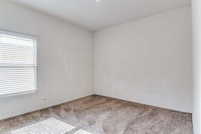 1653 Seadrift Dr, Forney, TX 75126 - empty room with carpet floors and healthy amount of natural light