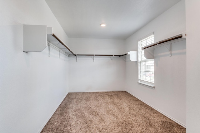 1653 Seadrift Dr, Forney, TX 75126 - walk in closet with carpet floors