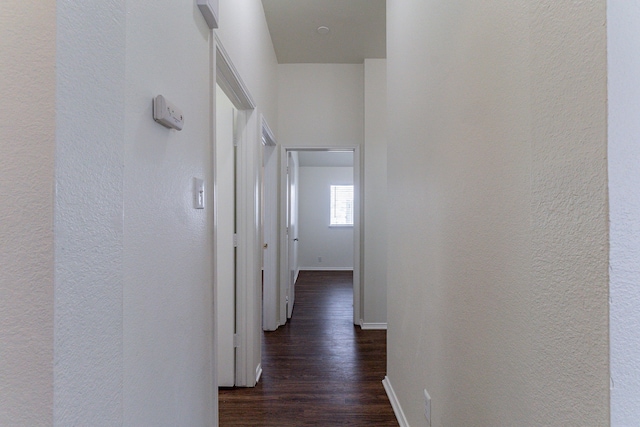 6736 Braeview Dr, Fort Worth, TX 76137 - hallway featuring dark wood-type flooring and a textured wall