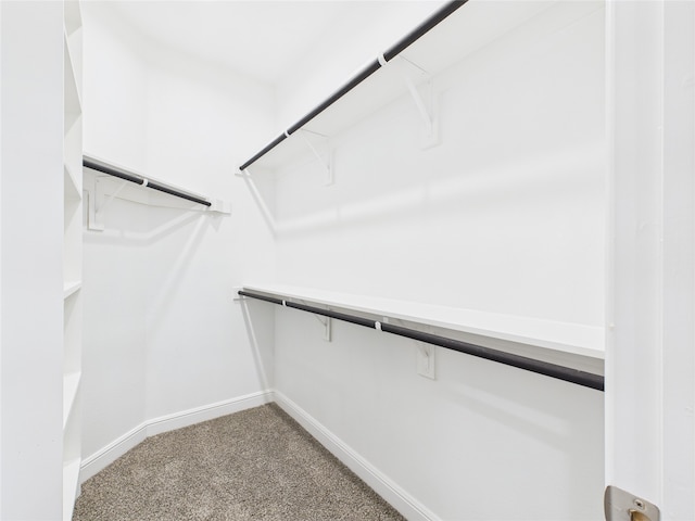1016 Croxley Way, Fort Worth, TX 76247 - spacious closet with carpet