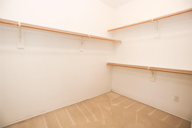 2325 Denham Dr, Arlington, TX 76001 - walk in closet featuring light carpet