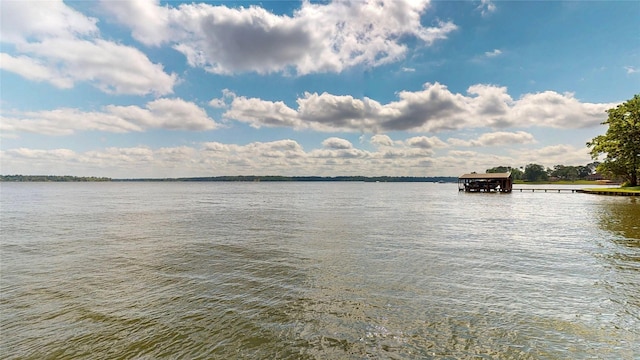 22770 Diamond Bay Dr, Frankston, TX 75763 - water view