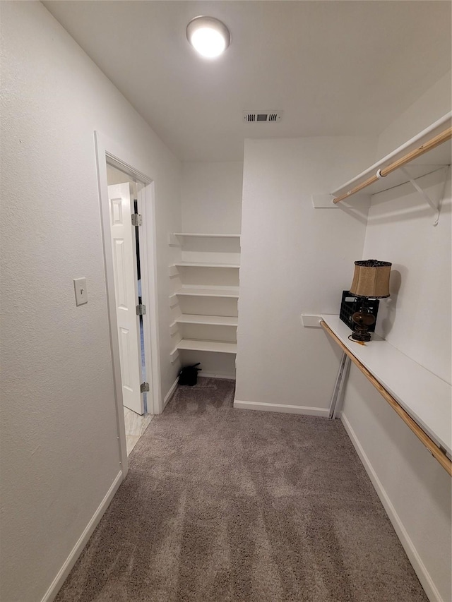 3309 Graybar Dr, Garland, TX 75040 - spacious closet featuring light carpet