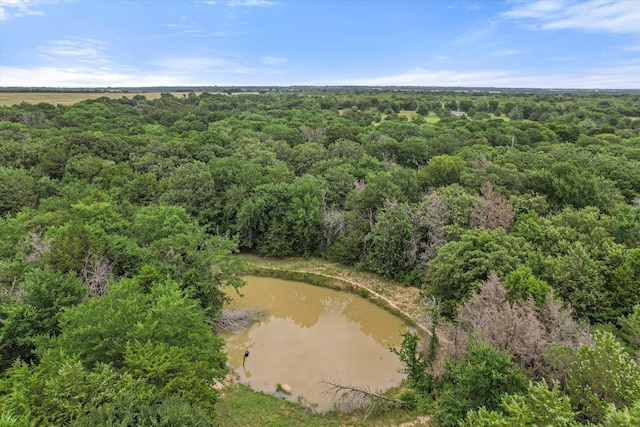 3121 SE County Road 2135, Corsicana, TX 75109 - bird's eye view of a forest and a large body of water