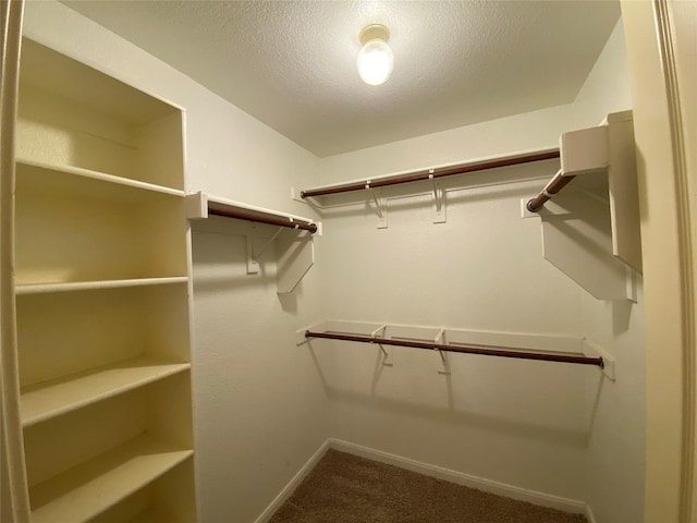 2769 Sunlight Dr, Little Elm, TX 75068 - walk in closet featuring carpet