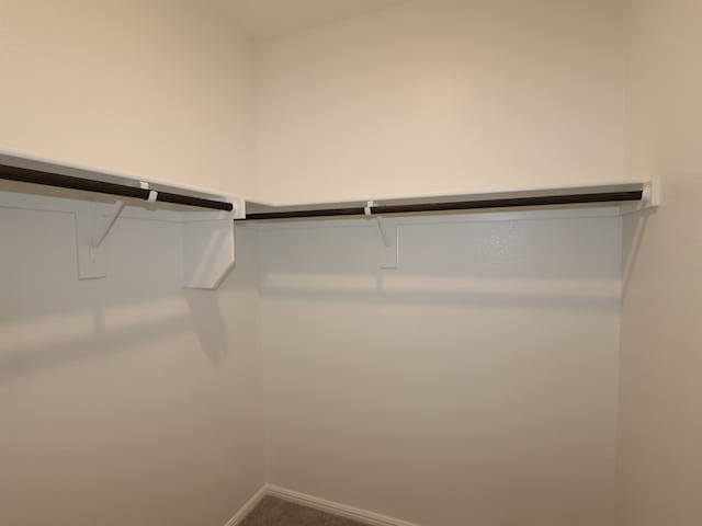 453 Forsyth Dr, Princeton, TX 75407 - walk in closet with carpet