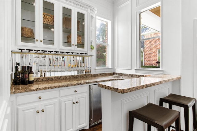3928 Dove Creek Ln, Plano, TX 75093 - indoor wet bar with plenty of natural light and stainless steel fridge